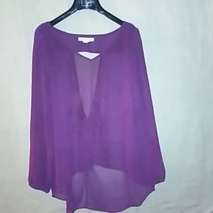 BCBG sheer blouse